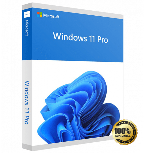 WINDOWS 11 PRO