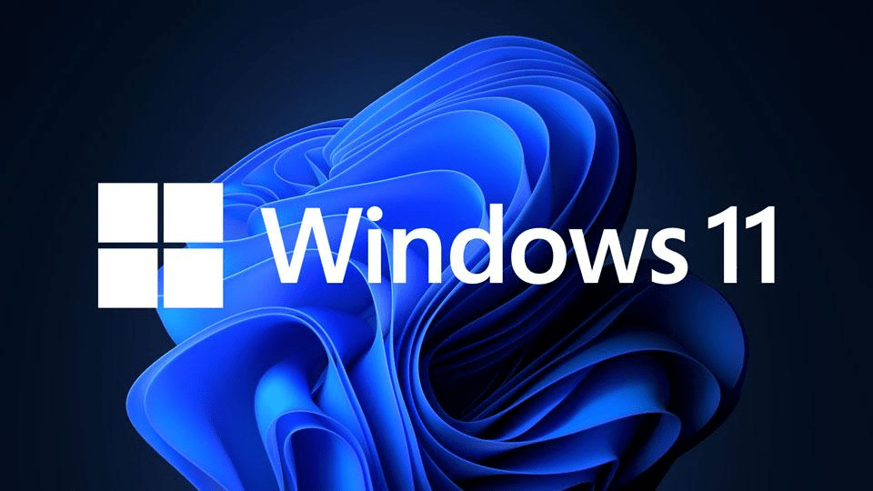 Windows 11